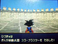 ラスター スラブ